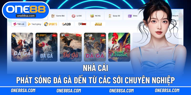 Nhà cái phát sóng đá gà đến từ các sới chuyên nghiệp